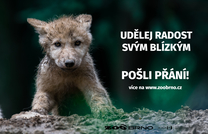Pošli přání. Lidé mohou přispět na chov zvířat v Zoo Brno a udělat radost blízkým
